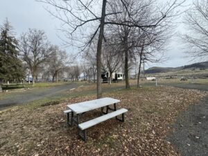 River Rue RV Village 17